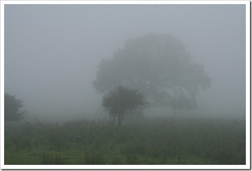 "Mystical" Ireland